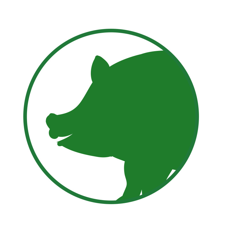 Pork
