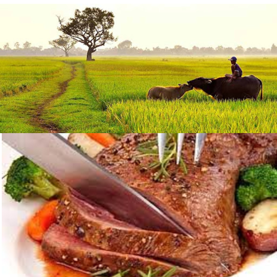 Về chúng tôi